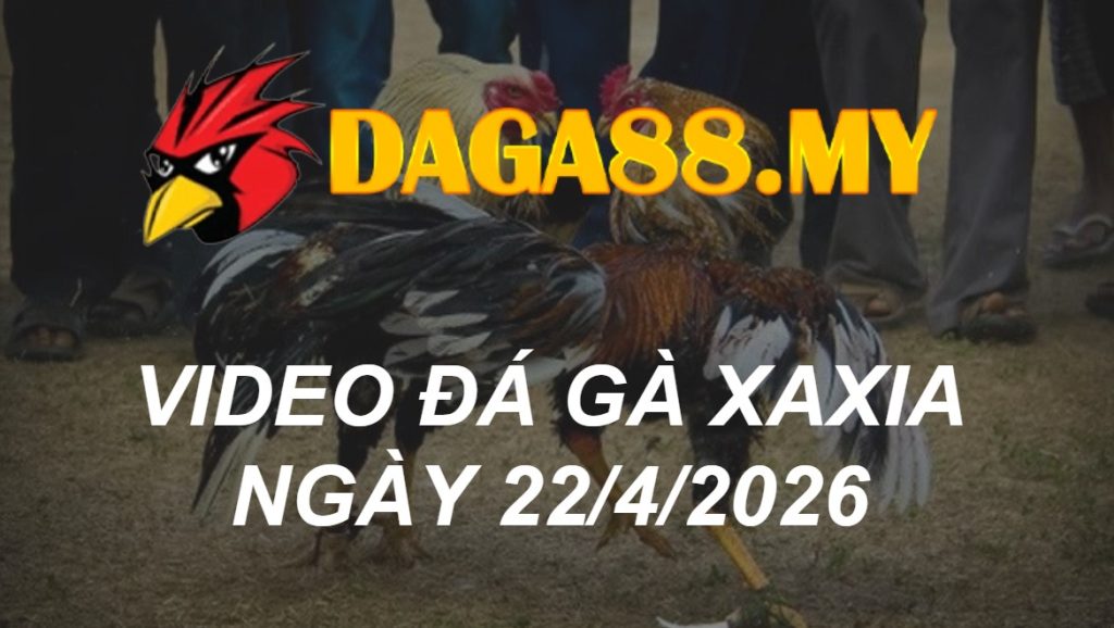 VIDEO GÀ XAXIA NGÀY 22/4/2026